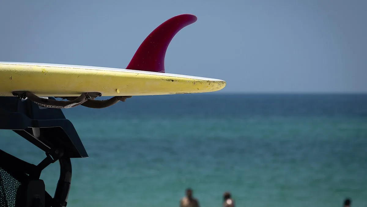Flesh-Eating Bacteria Claims Second Life in Bay County: What You Need to Know