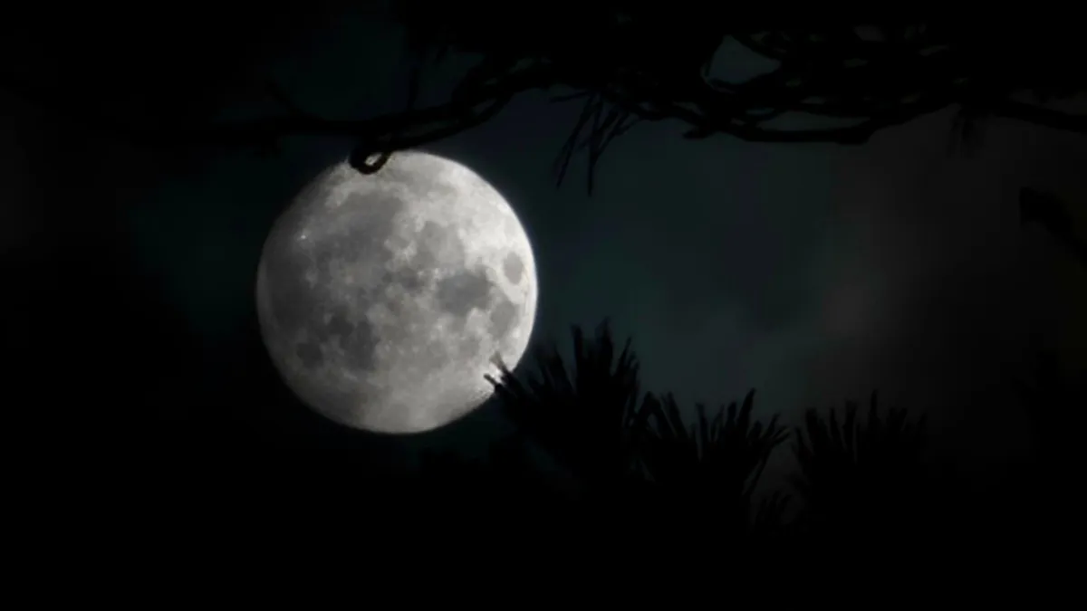 Get Ready for the Spectacular Supermoons: Harvest, Beaver, and Cold Moon Await!