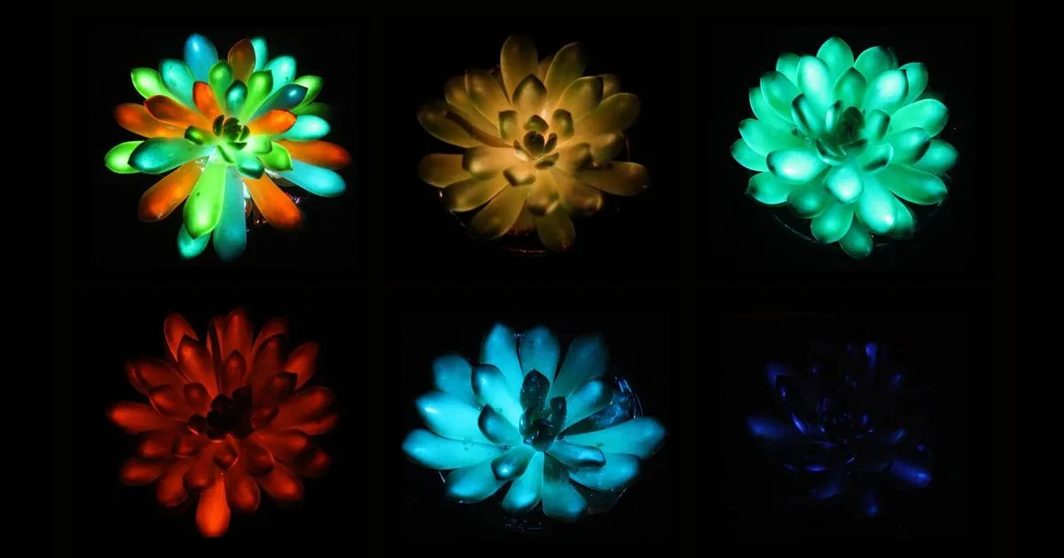 Glow-in-the-Dark Plants: The Future of Nighttime Navigation?