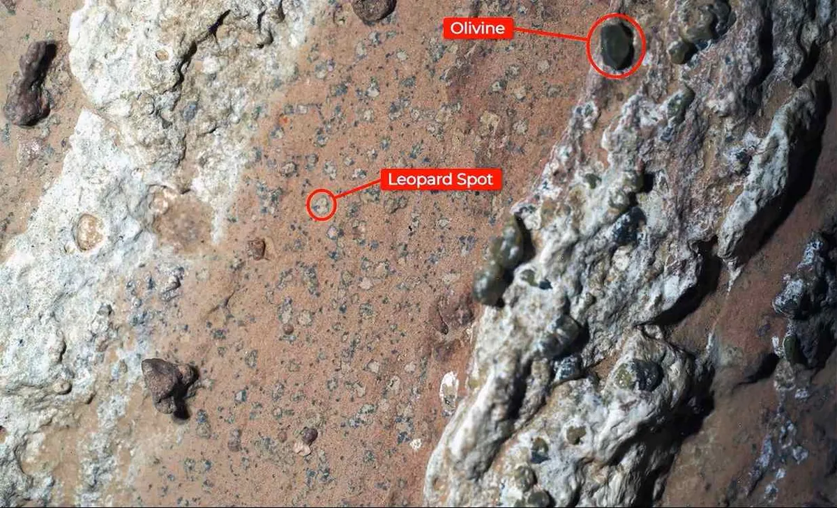 Groundbreaking Discovery: Mars Rover Finds Potential Signs of Life with Key Minerals