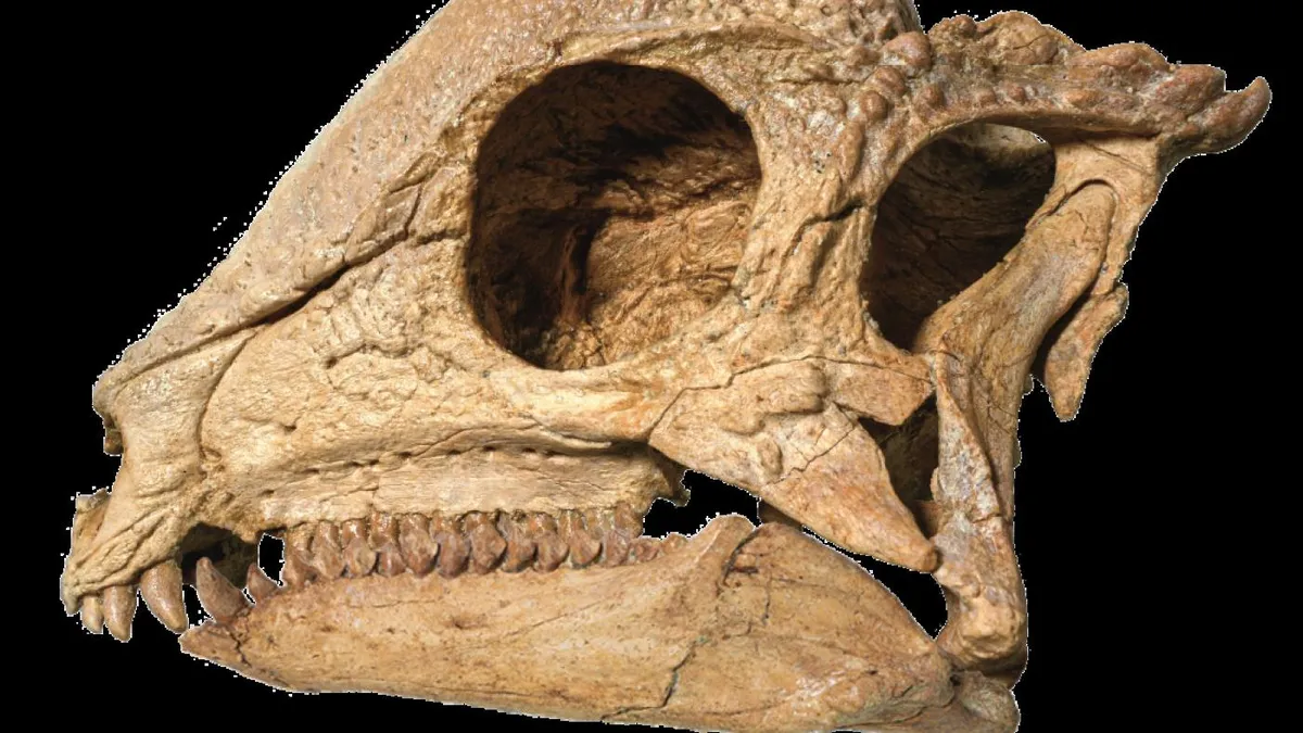 Groundbreaking Discovery: New Dinosaur Species Unveiled in Mongolia