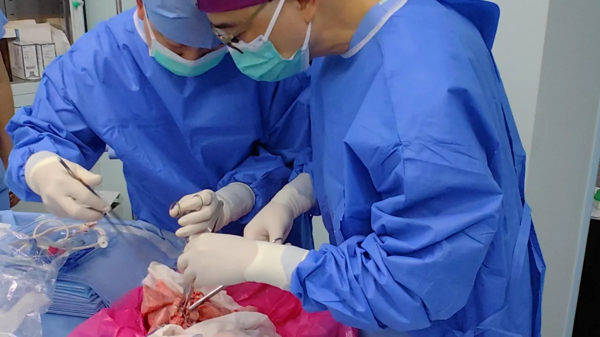 Groundbreaking Lung Transplant: Genetically Modified Pig Organ Successfully Implanted