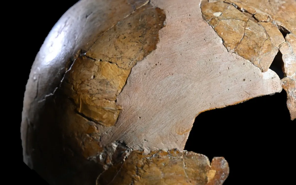Groundbreaking Study Reveals Neanderthal and Homo Sapiens Interbreeding in Ancient Israel