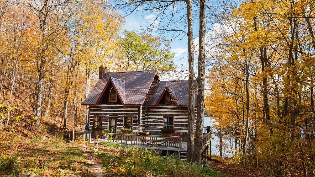How a Move to the Woods Helped a Scientist De-Age by 10 Years