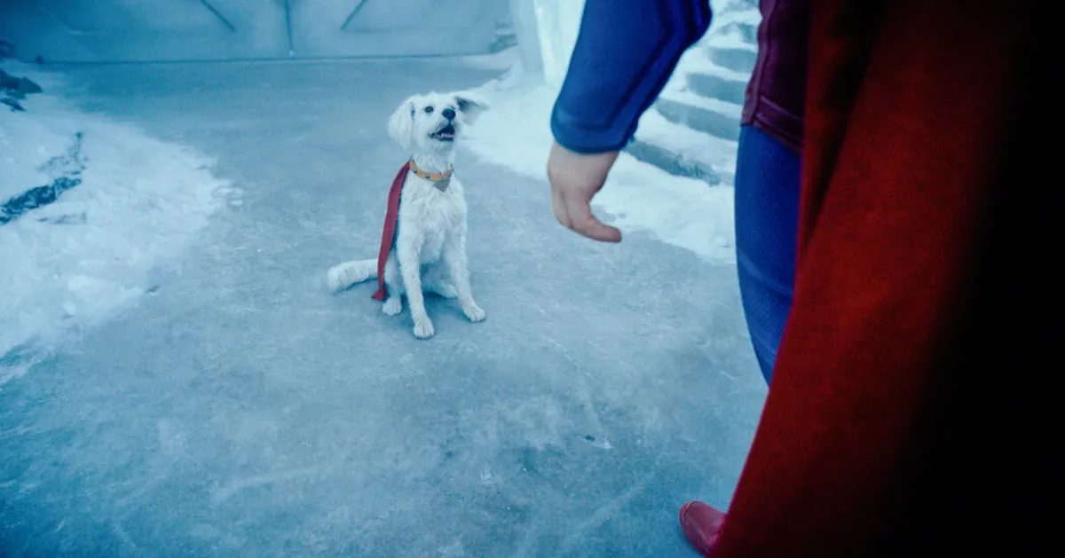How a Rescue Dog Inspired James Gunn's New Superman Film