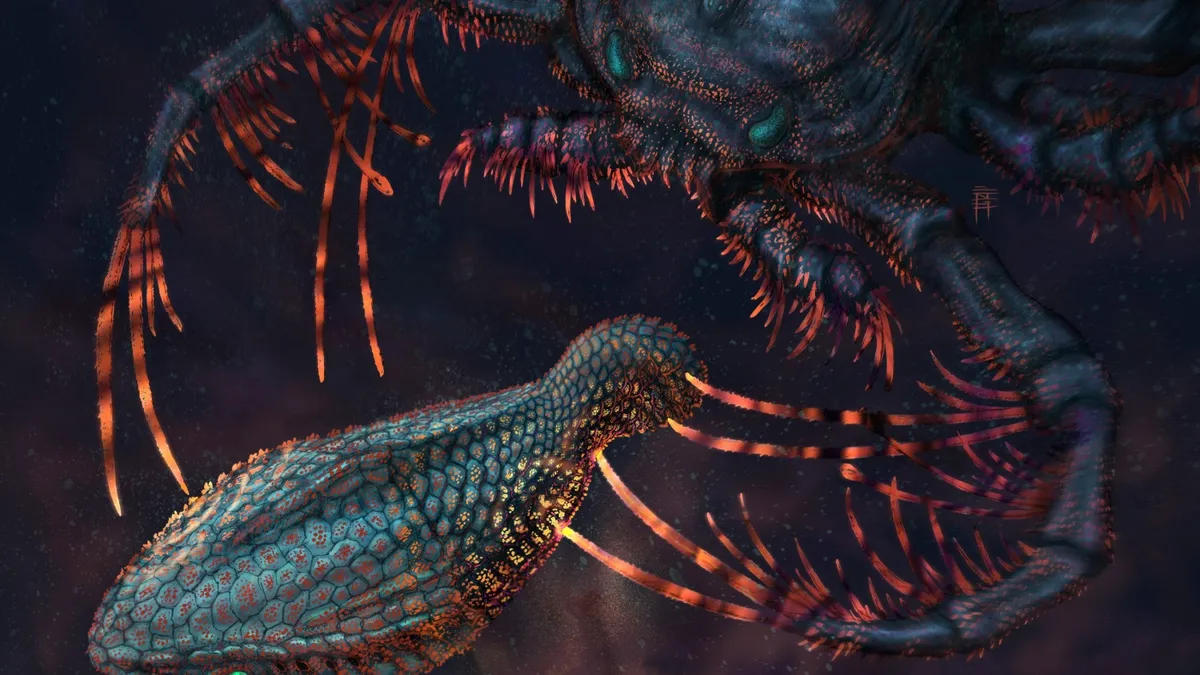 How Ancient Fish Shaped the Evolution of Our Teeth