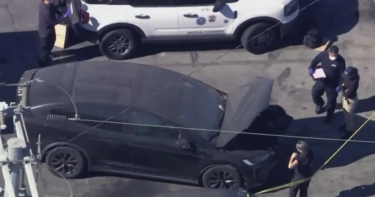Human Remains Discovered in Tesla at Hollywood Tow Yard: Shocking Details Unveiled
