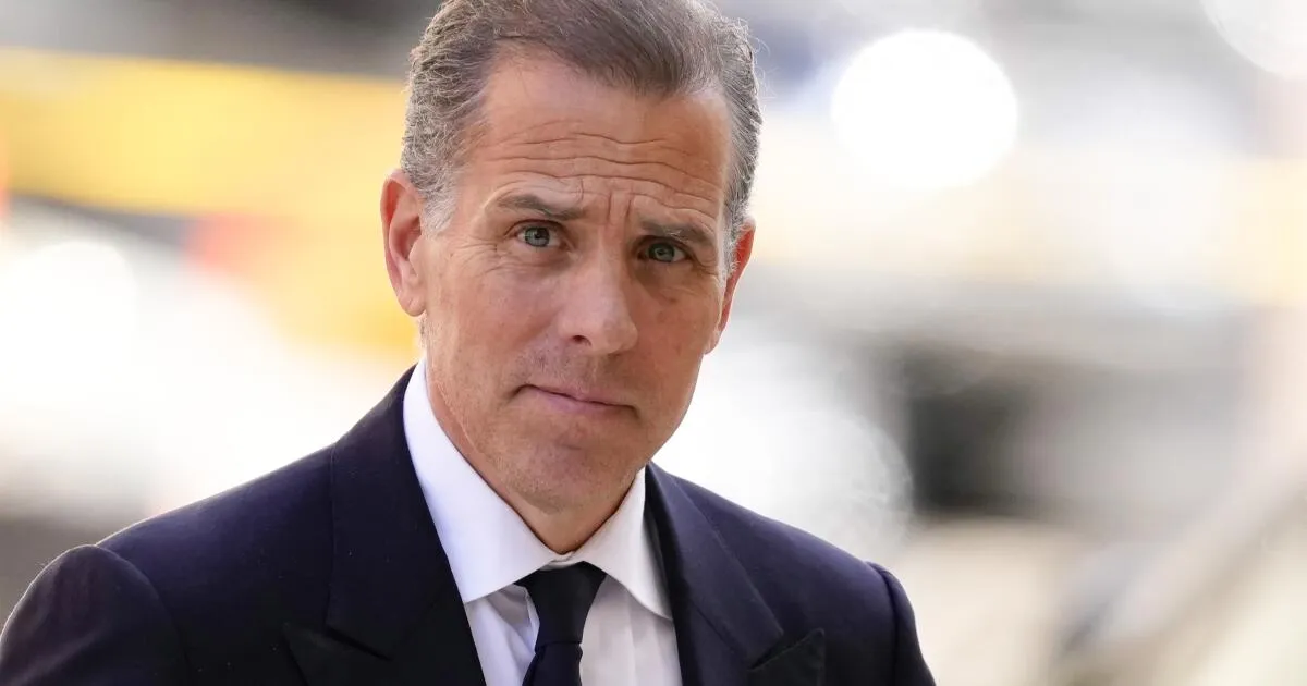 Hunter Biden's Shocking Outburst: Bashing Democrats and Hollywood's Elite