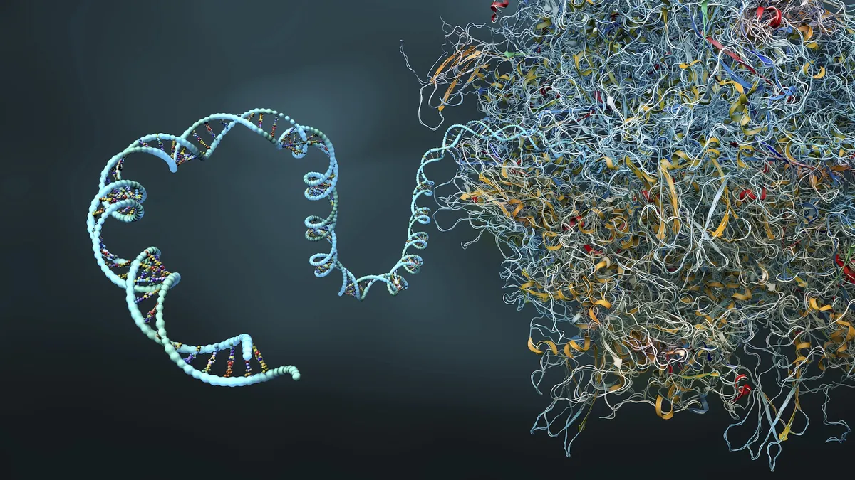 IBM and Moderna Break New Ground in mRNA Research with Quantum Computing
