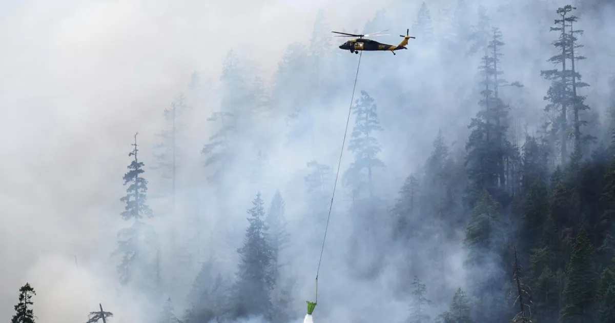 Immigration Agents Arrest Firefighters: A Controversial Move in Wildfire Response
