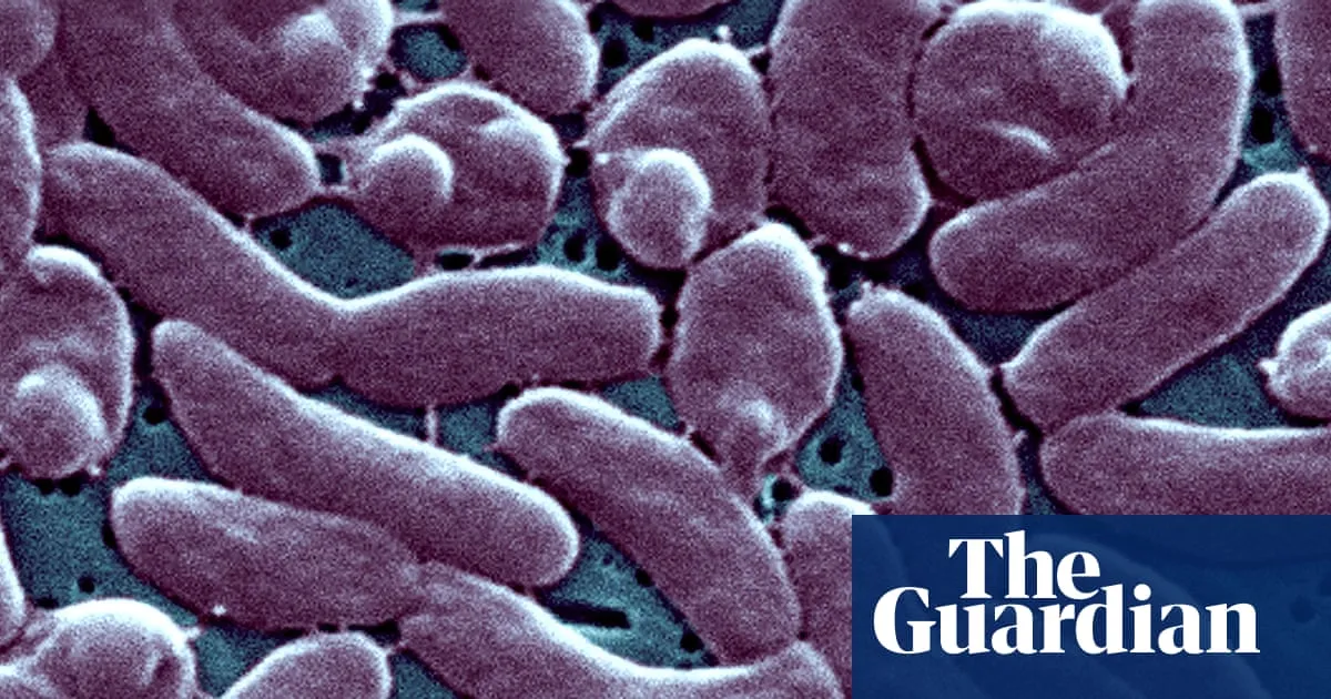Louisiana Faces Alarming Surge in Flesh-Eating Bacterial Infections