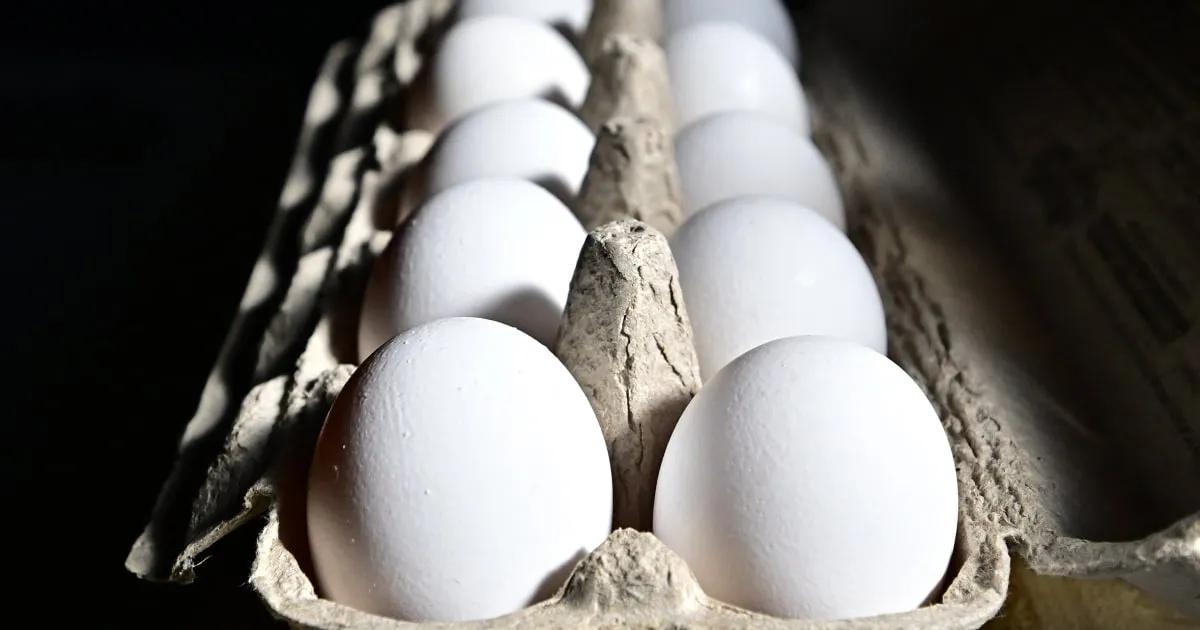 Major Salmonella Outbreak Linked to 1.7 Million Eggs: What You Need to Know