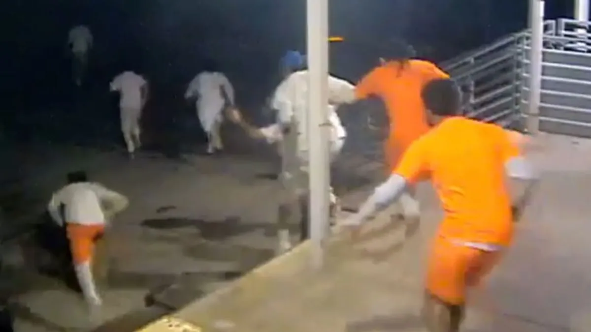Mass Escape from New Orleans Jail: 10 Inmates on the Loose
