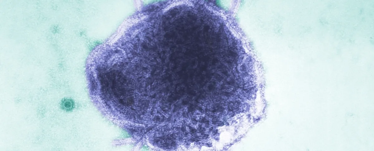 Measles Cases Surge: What You Need to Know About the Rising Outbreaks