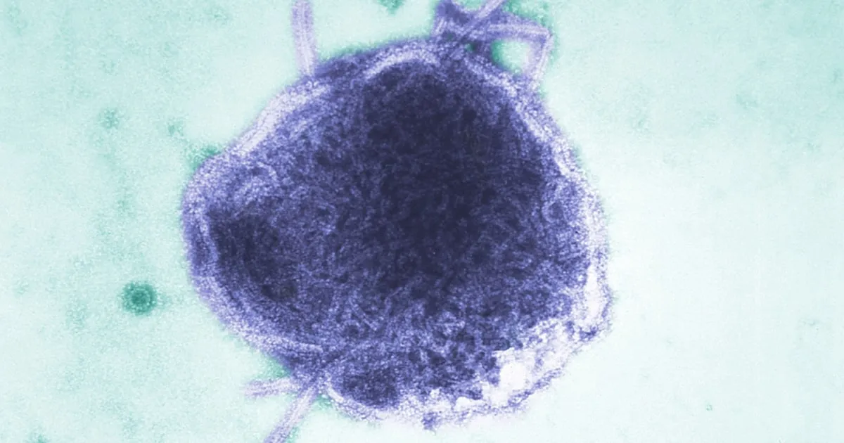 Measles Outbreak: The Frightening Reality for Families Facing Quarantine