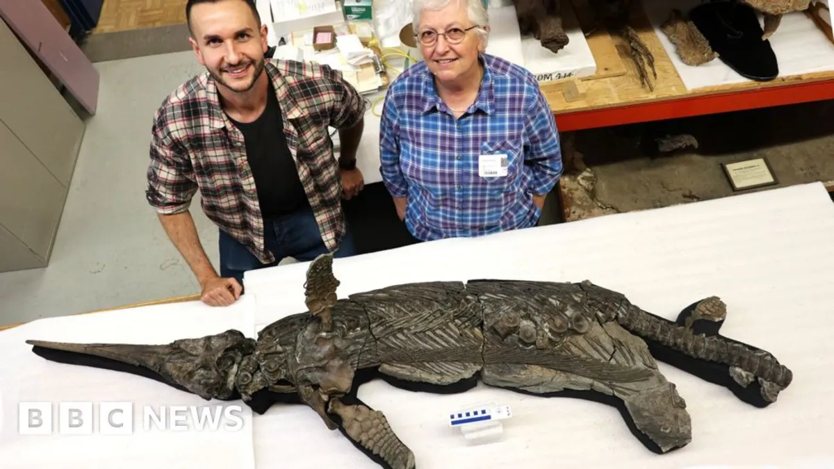 Meet the 'Sword Dragon': New Ichthyosaur Species Discovered on Dorset's Jurassic Coast