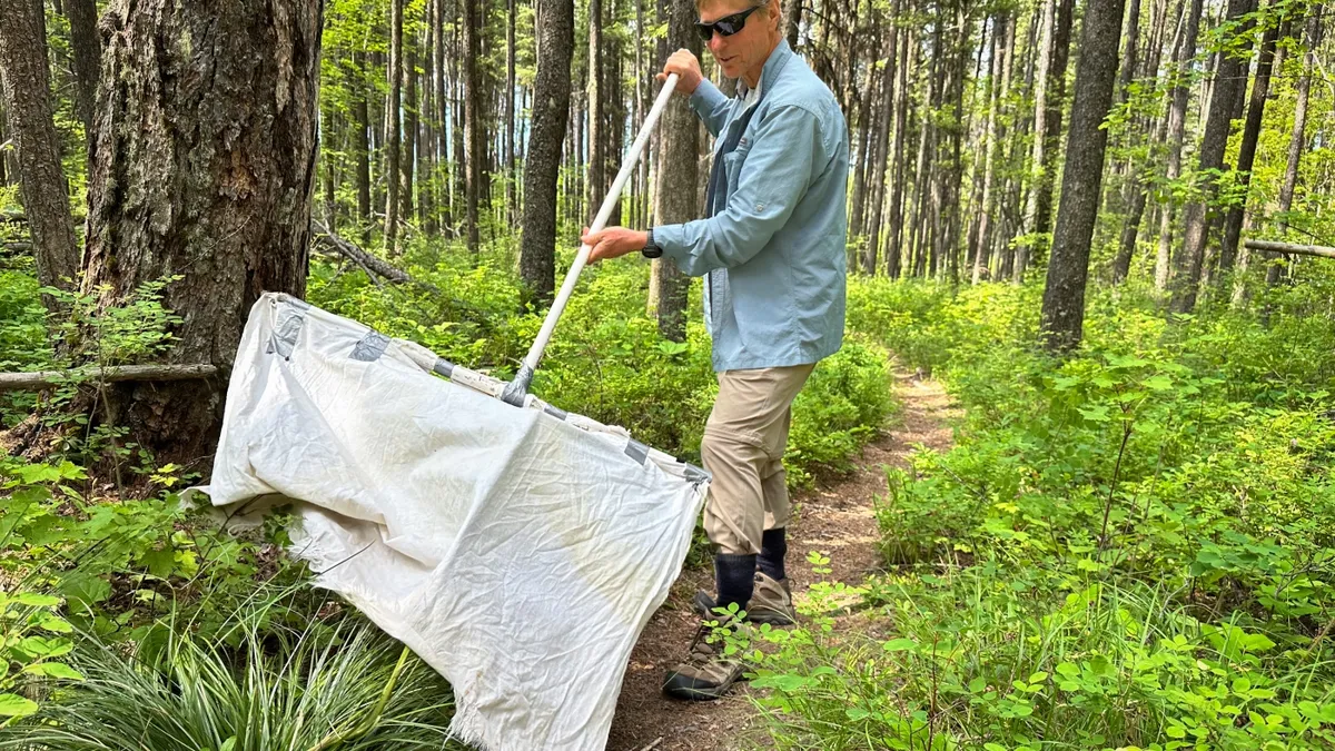 Montana's Quest for Ticks: How Climate Change is Affecting Tick Populations