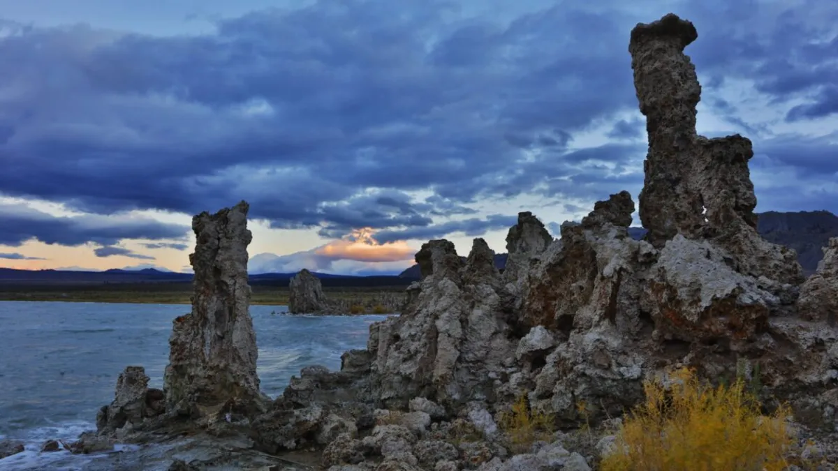 NASA's Alien Microbe Study Retracted: What It Means for Astrobiology