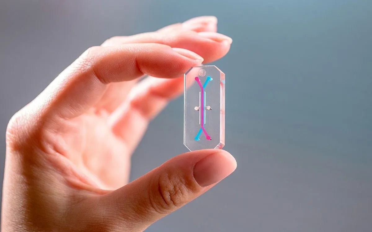 NASA's AVATAR Experiment: A Leap in Personalized Medicine for Space Exploration