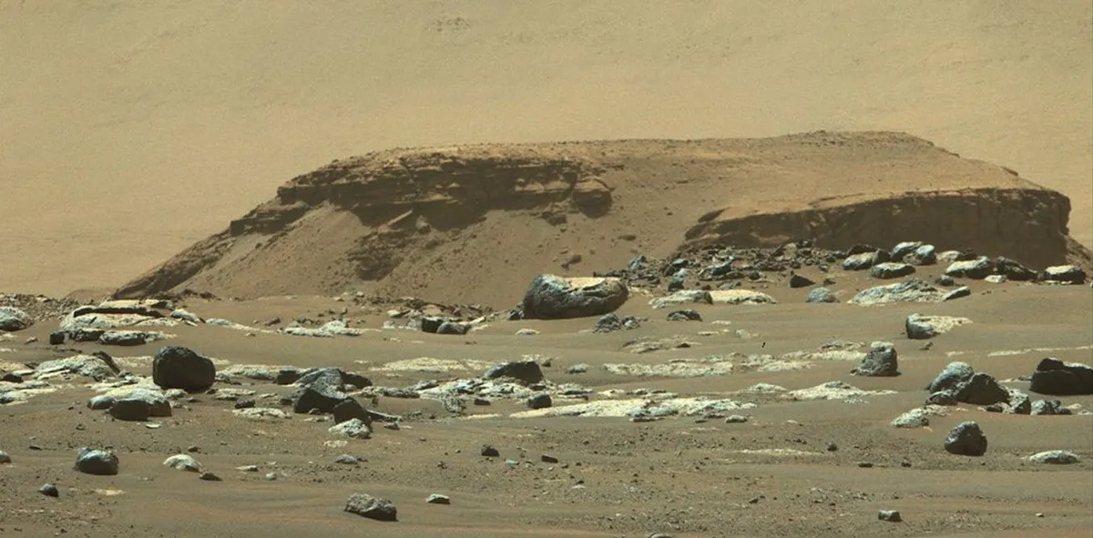 NASA's Mars Discovery: Are 'Leopard Spots' Signs of Ancient Life?