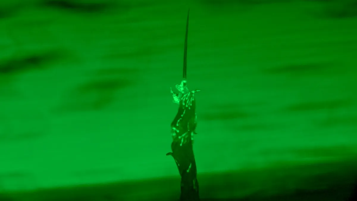 Nematodes Unleash a Bizarre New Behavior: Towering Worm Structures Spotted in the Wild