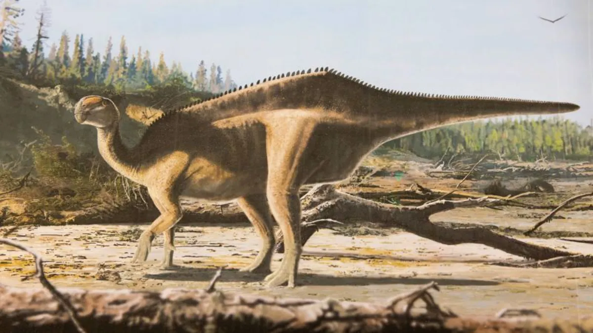 New Dinosaur Species with Sail-Like Feature Discovered in England