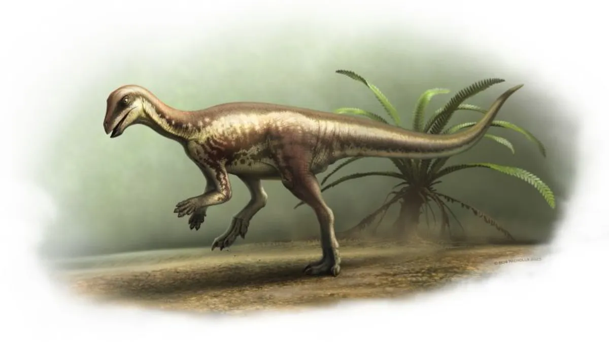 New Dog-Sized Dinosaur Species Discovered: Meet Enigmacursor mollyborthwickae
