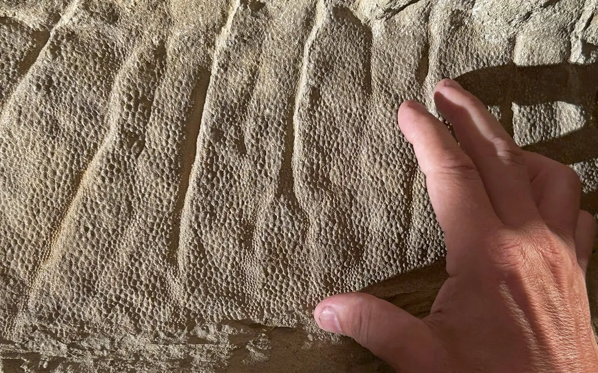 New Evidence Reveals Thriving Dinosaur Populations Before Asteroid Impact