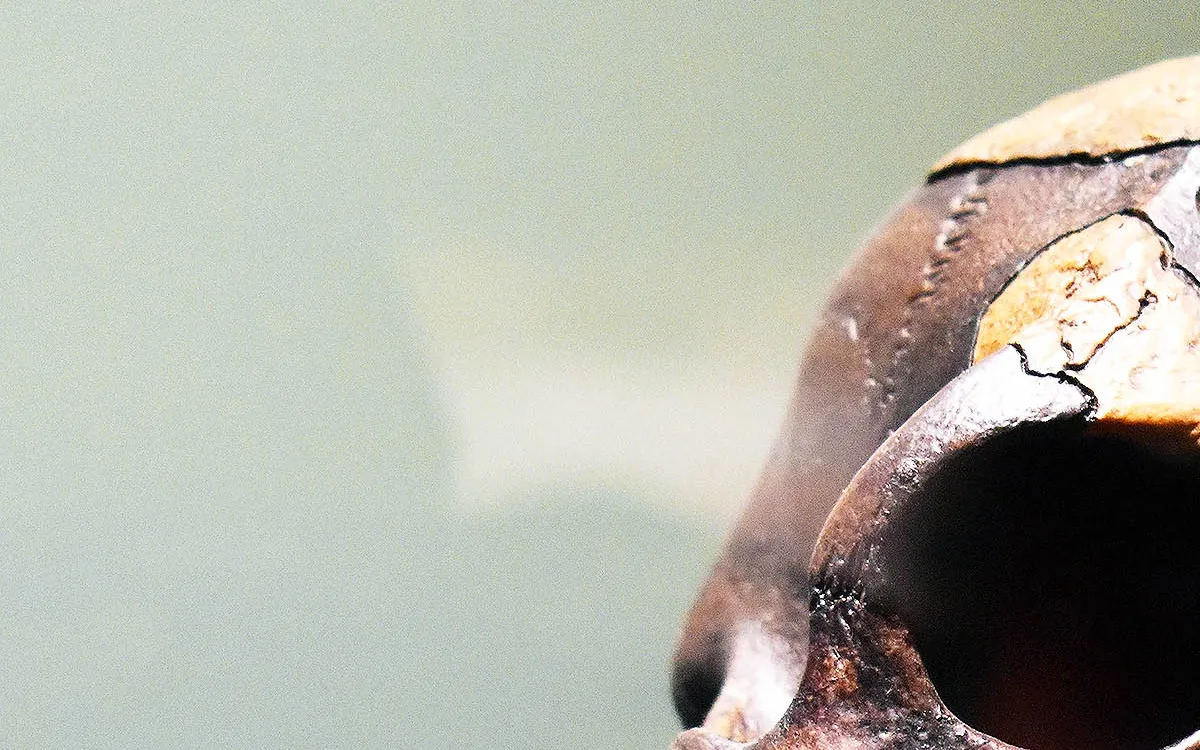 New Fossil Discoveries in Ethiopia Rewrite Human Evolution