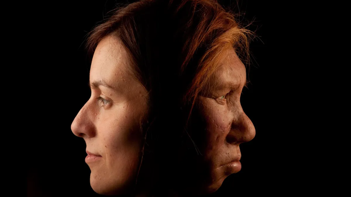 New Research Reveals Genetic Incompatibility May Have Led to Neanderthal Extinction