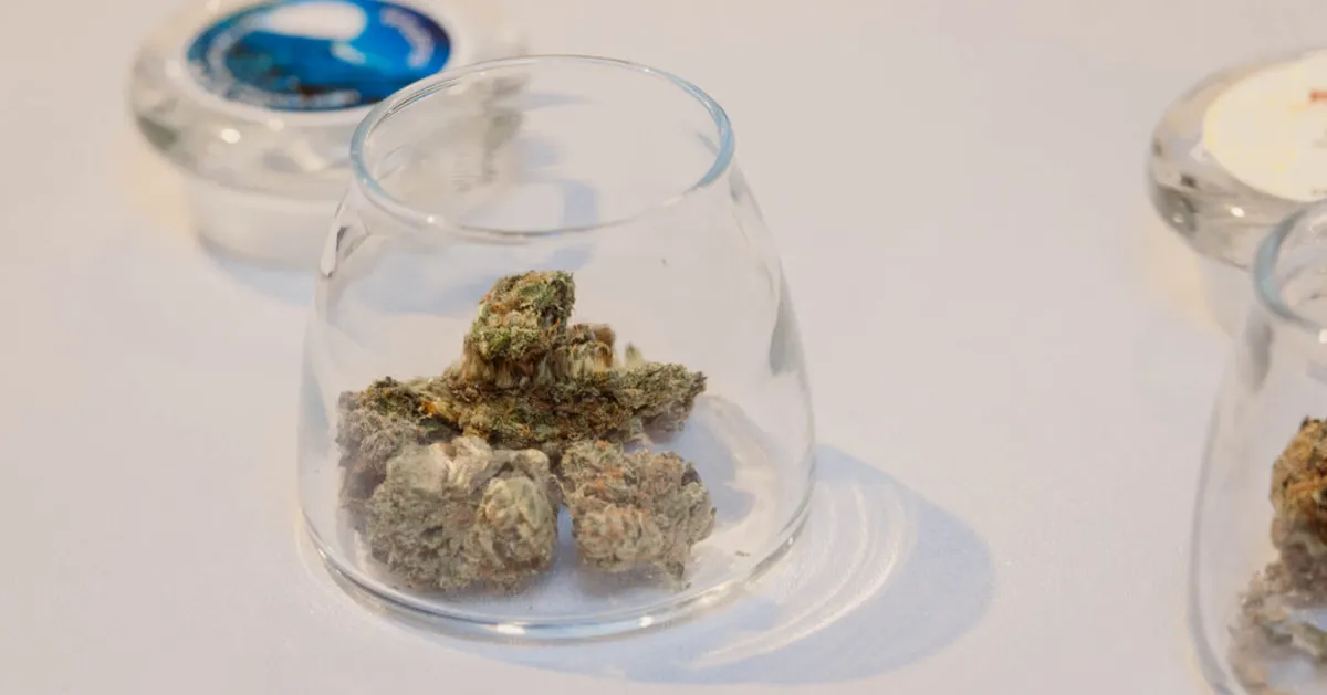 New Study Reveals Shocking Risks of Marijuana Use on Heart Health