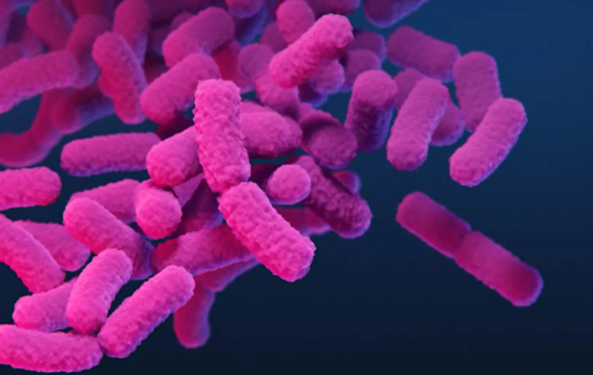 Nightmare Bacteria on the Rise: CDC Reports Alarming Increase in Drug-Resistant Infections