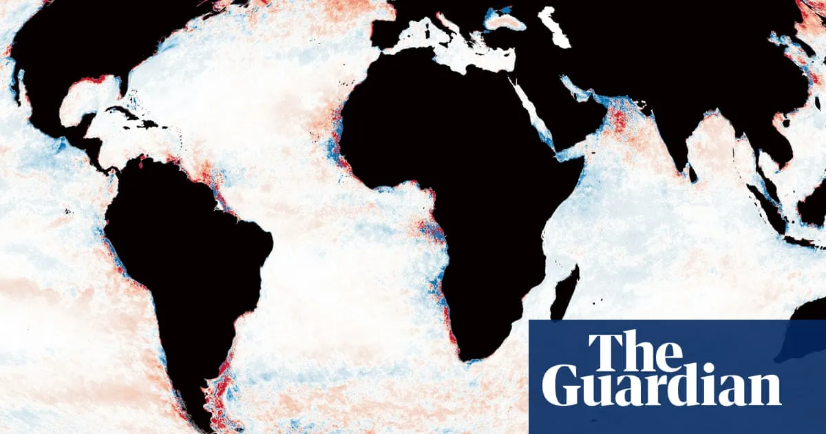 Oceans Darkening: A Global Crisis for Marine Life