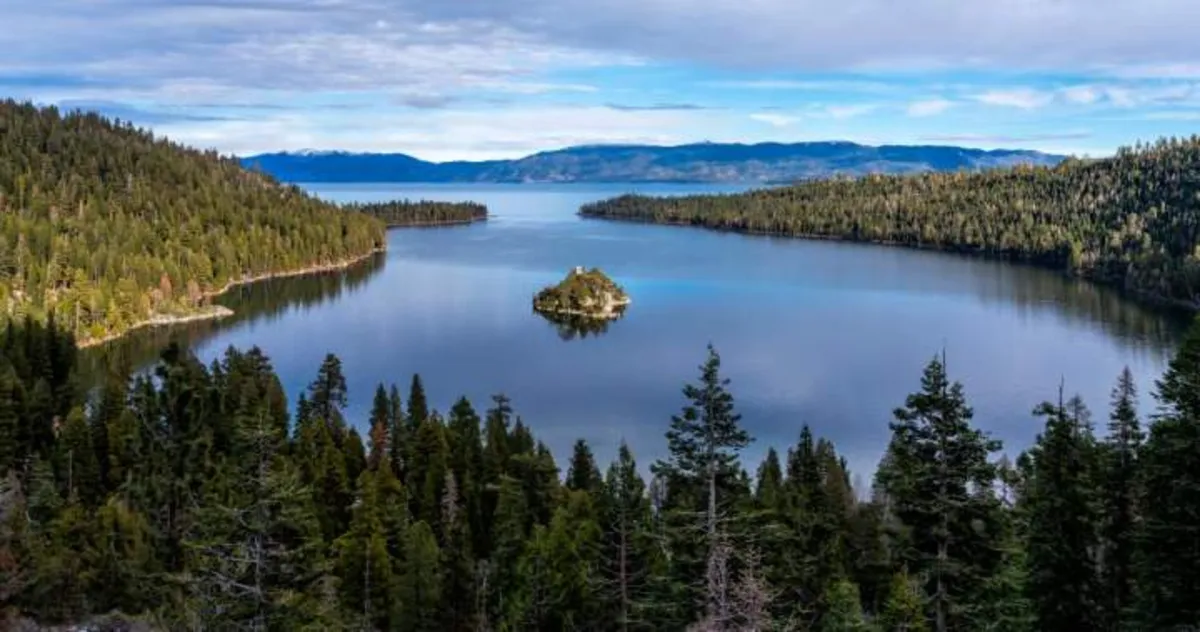 Plague Alert: South Lake Tahoe Sees First Case in Years!