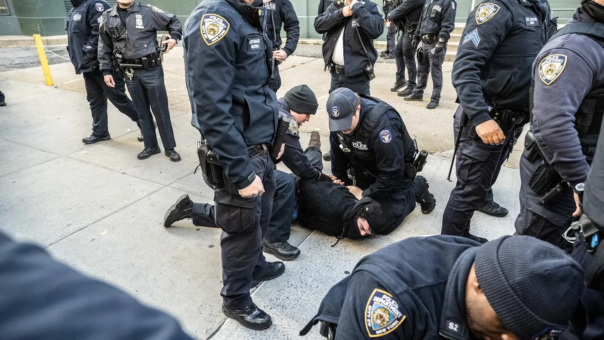 Protesters Arrested in Lower Manhattan Over ICE Activity