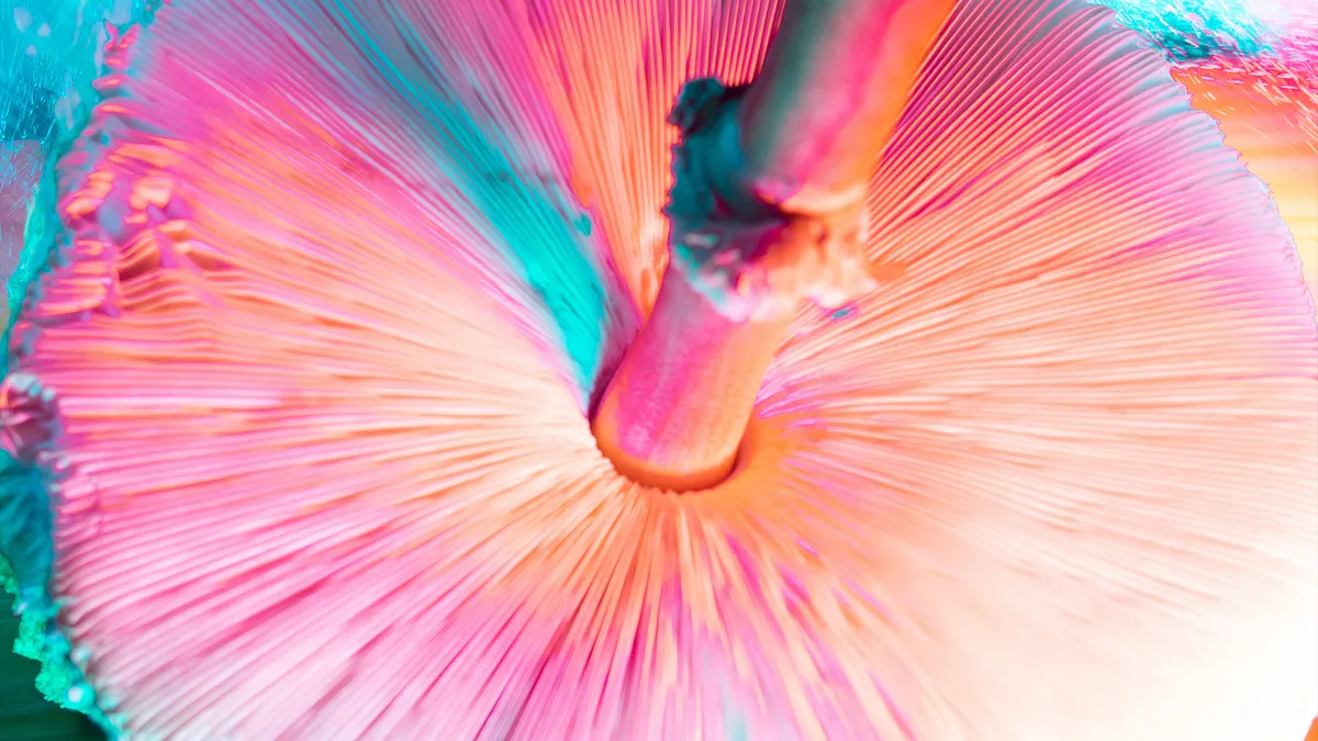 Psilocybin Shows Promise for Treating Bipolar Depression Without Mania