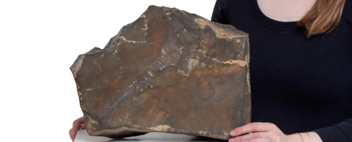 Rare Martian Meteorite Up for Auction: Could Fetch $4 Million!