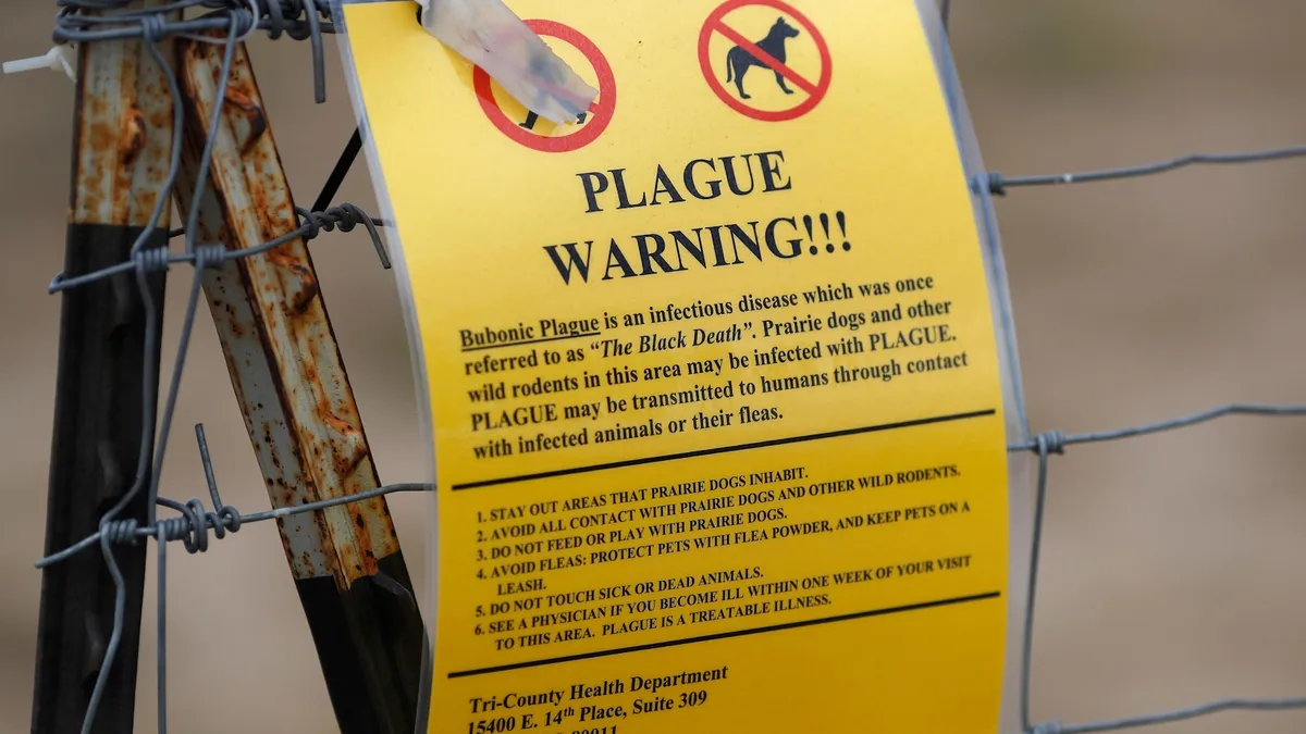 Rare Pneumonic Plague Claims Life in Northern Arizona: What You Need to Know