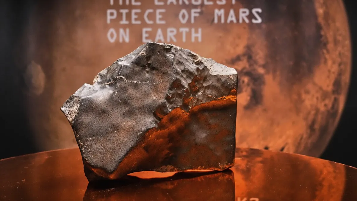 Record-Breaking Mars Meteorite Sells for $5 Million at New York Auction