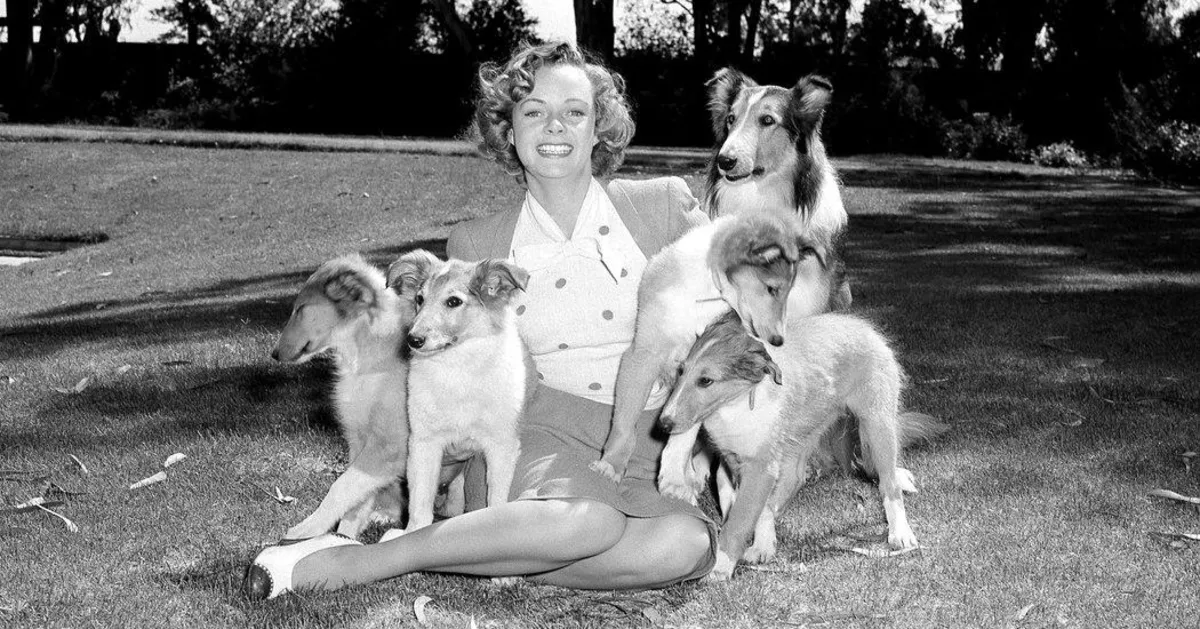 Remembering June Lockhart: A Beloved Star of 'Lassie' and 'Lost in Space'