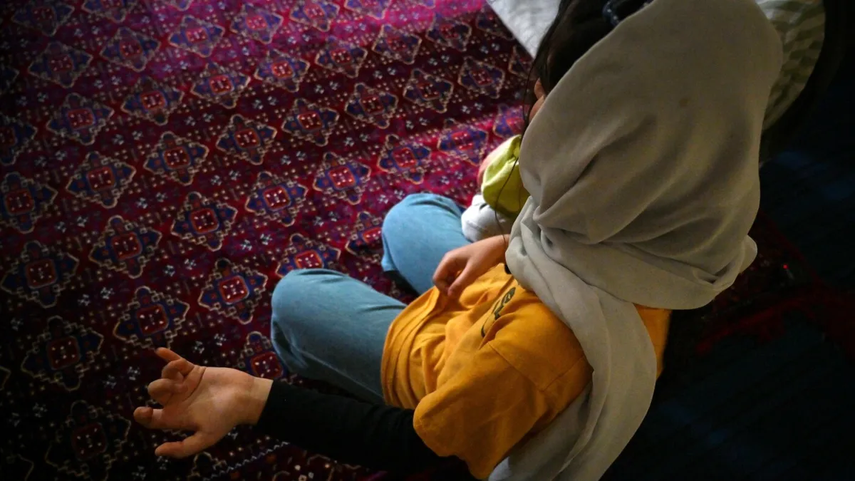 Republican Rift Over Trump's Immigration Crackdown: Afghan Allies at Risk