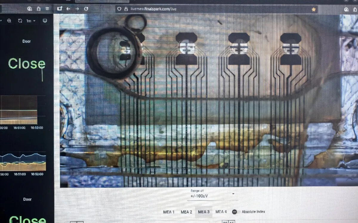 Revolutionary Discoveries: From Quantum Computing to Ancient Brain Evolution