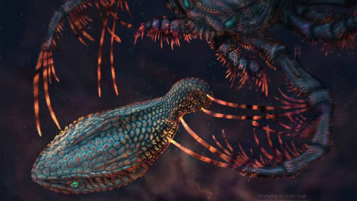 Revolutionary Discovery: How Fish Teeth Evolved from Sensory Structures