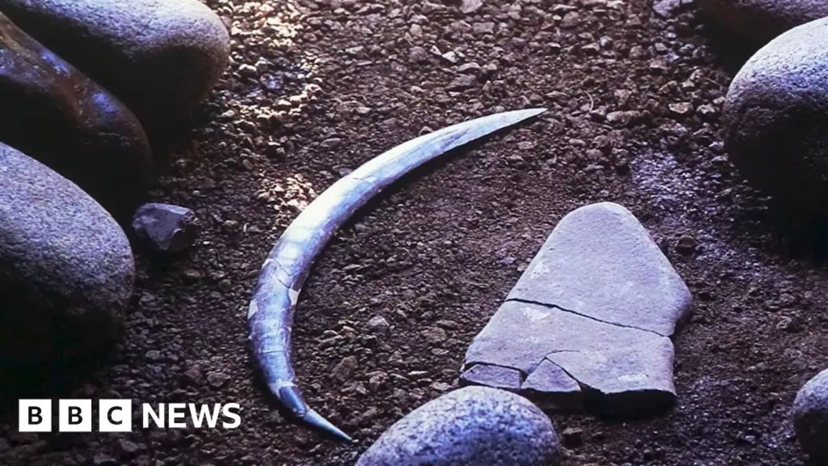 Revolutionary Discovery: World's Oldest Boomerang Dated to 40,000 Years