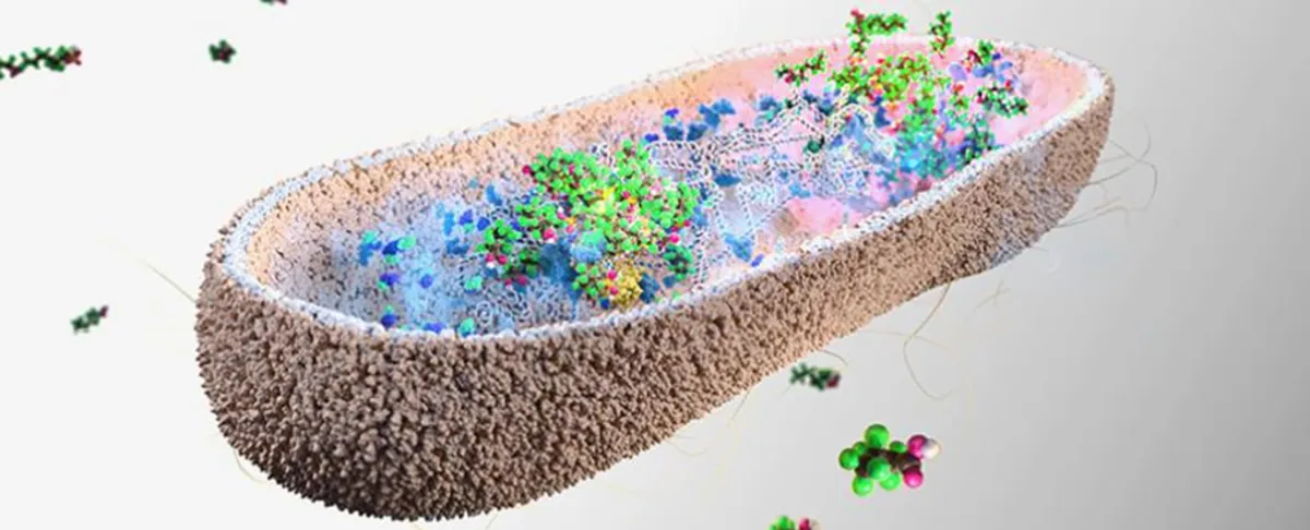 Revolutionary Gut Bacteria Could Combat Toxic 'Forever Chemicals'