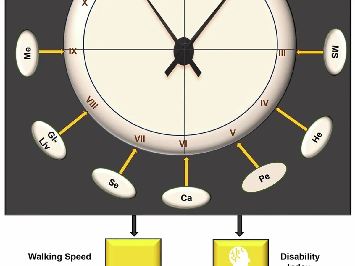 Revolutionary Health Tool Predicts Biological Age and Disability Risk