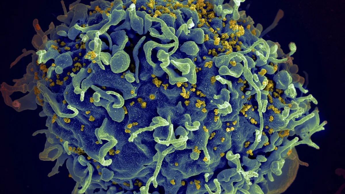 Revolutionary HIV Prevention Drug Gets EU Approval: A Game Changer in Public Health