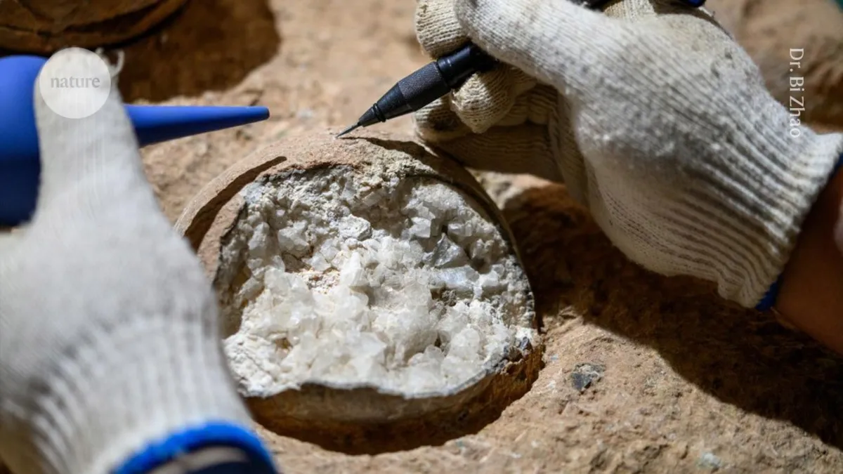Revolutionary Method Reveals Age of Dinosaur Egg for the First Time