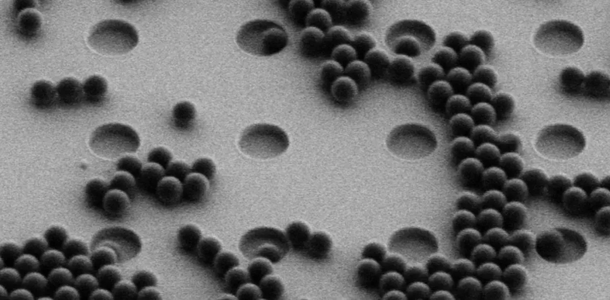Revolutionary Method Unveils Hidden Dangers of Nanoplastics in Our Bodies