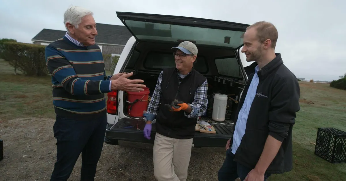 Revolutionary Plan to Combat Lyme Disease: Can Engineered Mice Save Nantucket?